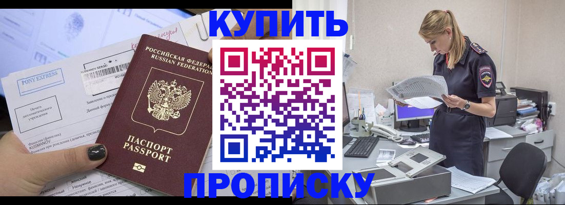 временная регистрация поиск в Заринске